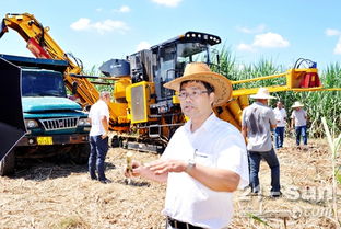 柳工农机公司甘蔗生产全程机械化产品受追捧